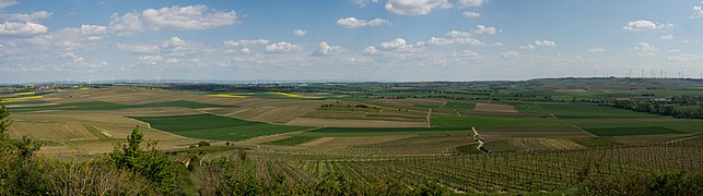 Blick in südöstliche Richtung bis zu zum Odenwald