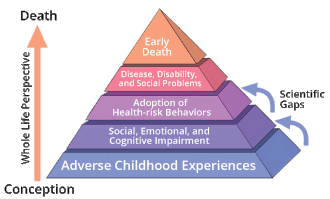 Pyramid with horizontal layers representing, in ascending order, Adverse Childhood Experiences; Social, Emotional, and Cognitive Impairment; Adoption of Health-risk Behaviors; Disease, Disability, and Social Problems; and Early Death. A vertical arrow represents the course of life beginning at the base and moving upward. Smaller arrows depict gaps in scientific knowledge about the links between Adverse Childhood Experiences and latter risk factors.