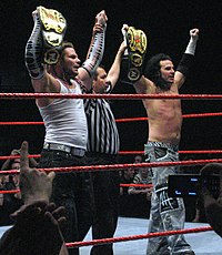 The Hardy Boyz mit dem finalen Titeldesign.