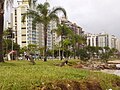 Florianópolis - deniz sehilinde modern Beira Mar Caddesi