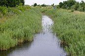 Fertő–Hanság Nemzeti Park