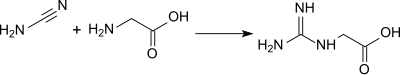 GAA from cyanamide + glycine