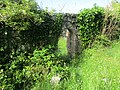 Entrance of the ruined Glenina Church