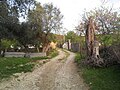 Typical view of the main road of a Neighborhood.