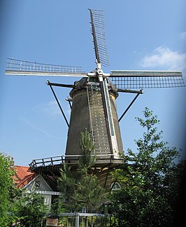 De Korenaar