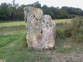 Menhir Pierre Aiguë