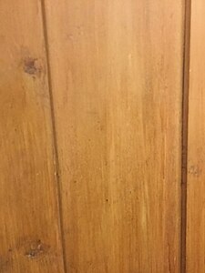 Interior of door where the wood grain has NOT been painted. This part of a closet is not in view of the public and shows what the wood looked like before grain was painted on.