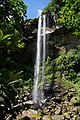 Pinaisāra-Wasserfall, Iriomote