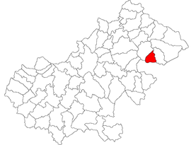 Location in Satu Mare County