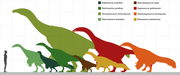 Size of various therizinosaurids