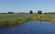 Graben in Polder zwischen Meerkerk und Ameide