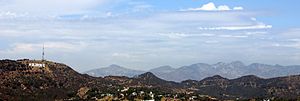 The Hollywood Hills and the Hollywood Sign