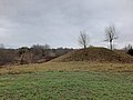 Vosbučiai hillfort