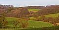 Blick ins Deilbachtal