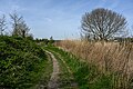 Wandelpad in het natuurgebied