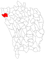 Location in Vaslui County