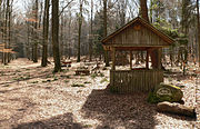 Waldspielplatz