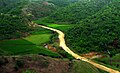 Surrounding landscape and greenery