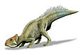 Leptoceratops