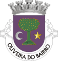 Oliveira do Bairro belediyesi arması, Portekiz