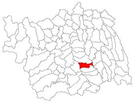 Location in Bacău County