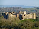 Raglan Castle