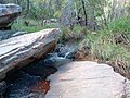 Sabino Creek