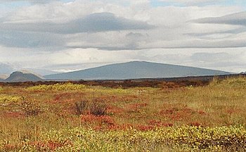 Schildvulkan Skjaldbreiður