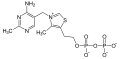 Thiaminpyrophosphat