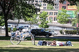 Writing in the park