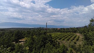 Fields of Štrbovo with village and Lake Prespa nearby in background