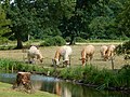 Vorschaubild der Version vom 21:20, 19. Jul. 2018