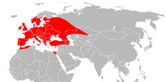 Mapa występowania