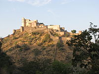 Bergfestungen von Rajasthan