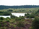 In den Dünen zwischen Schoorl und Bergen