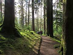 Trail down to car park