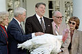 President Ronald Reagan sparing a turkey, 1983