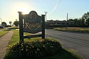 Monument sign on Irving Park Road welcoming drivers to Roselle.