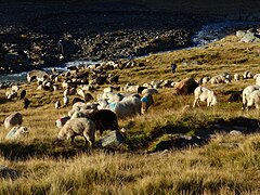 ... Sonnenstrahlen oberhalb der Martin-Busch-Hütte