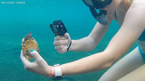 Underwater, Florida