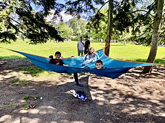 Triple hammock