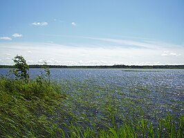 Het meer Veskijärv bij Vaisi