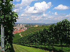 Blick von den Weinbergen aus über Burg und Remstal