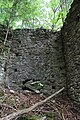 Burg Treffen (Kärnten)