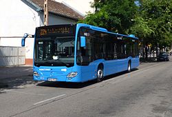 224-es busz a rákospalotai Fő úton