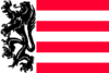 Flag of Sas van Gent