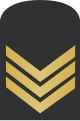 Irish Navy - Petty Officer