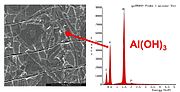 SEM image of anode surface from a failed 1000 uF/10 V electrolytic capacitor; aluminum hydroxide has overgrown all structures on the anode.