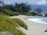 Op het strand in Hawaï