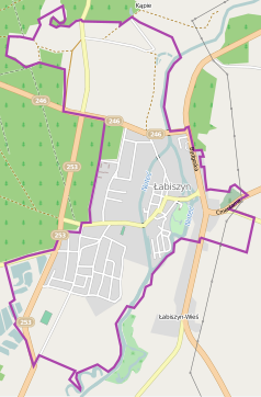 Mapa konturowa Łabiszyna, blisko centrum na prawo znajduje się punkt z opisem „Stary cmentarz żydowski w Łabiszynie”